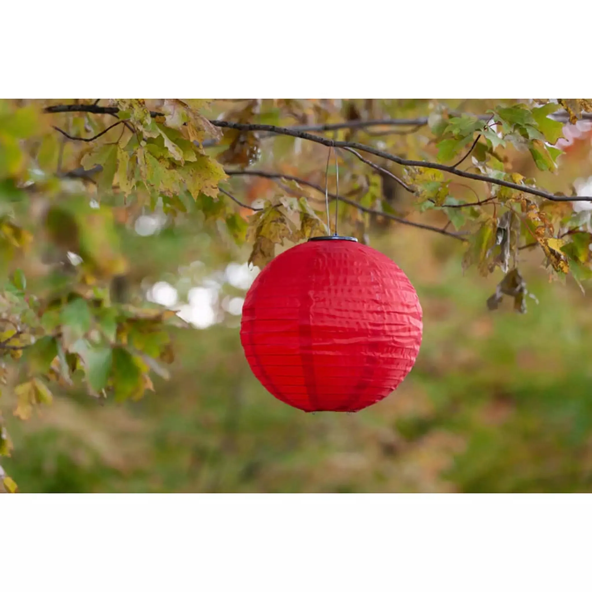 12" Festival Round Solar Lantern