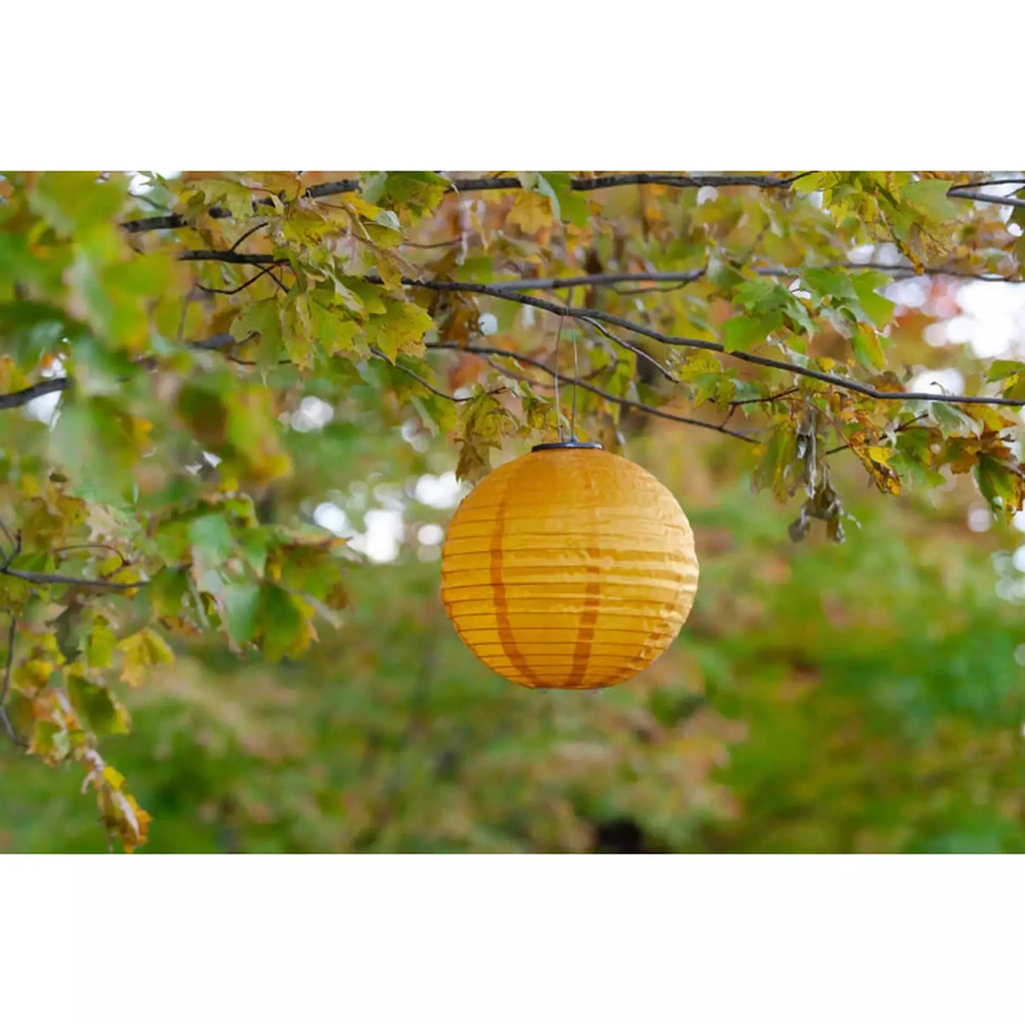 12" Festival Round Solar Lantern