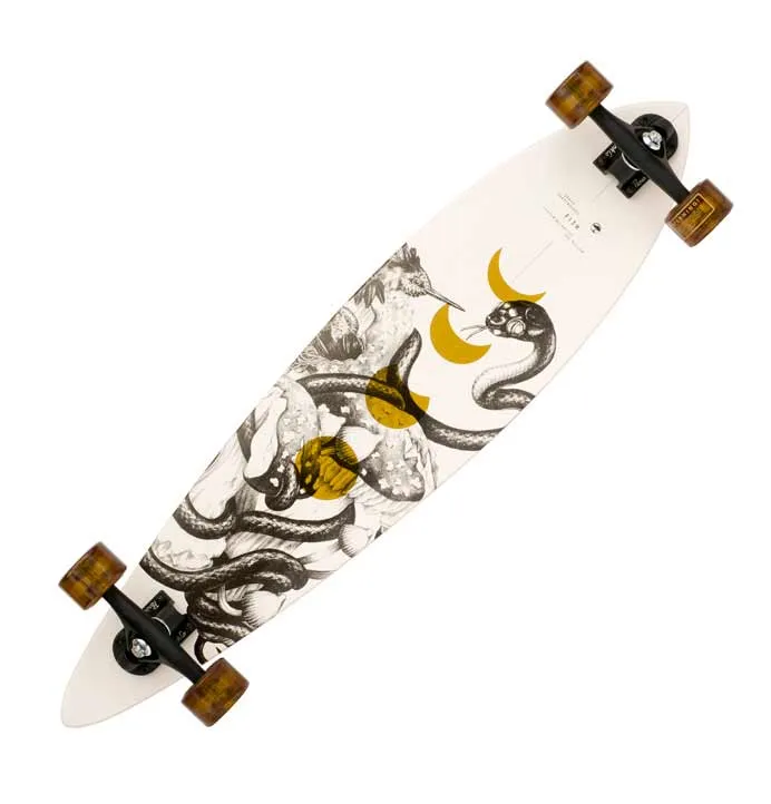 Arbor Fish 37" Bamboo Pintail Longboard