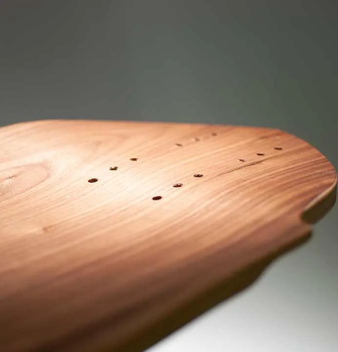 Hackbrett Krokodil Freeride Longboard
