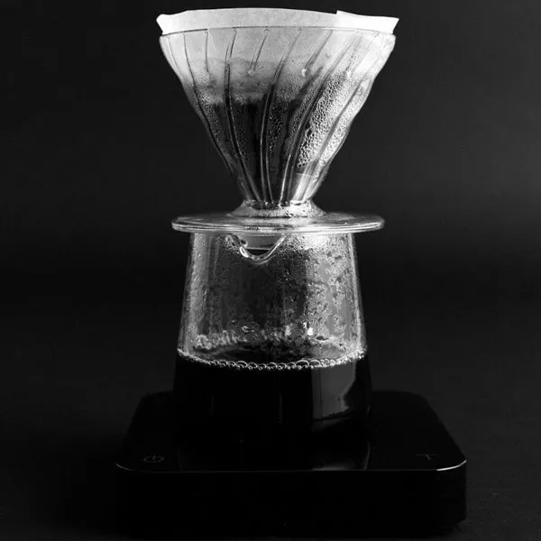 Sibarist B3 Hybrid Specialty Coffee Filter