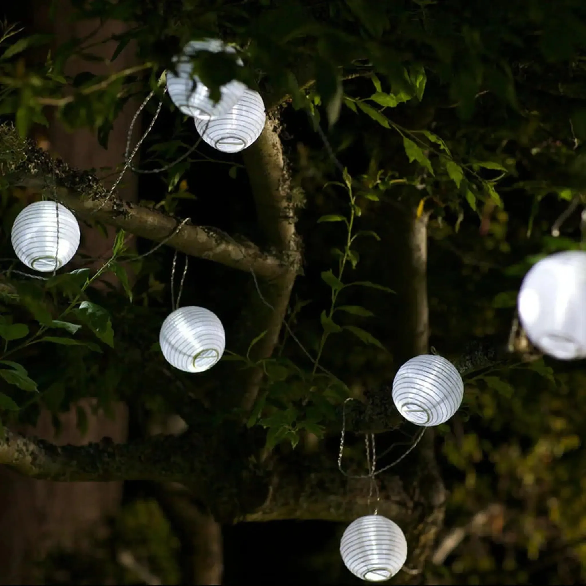 Solar String Lights