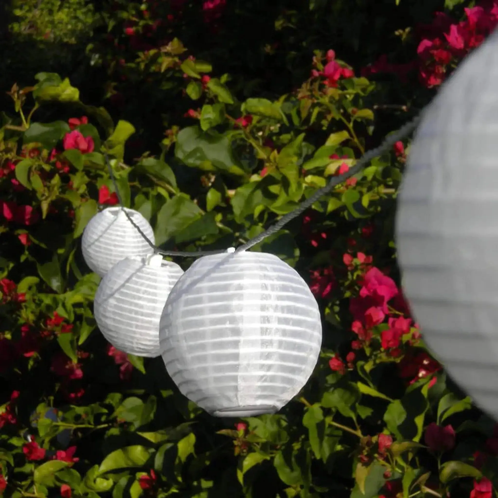 Solar String Lights